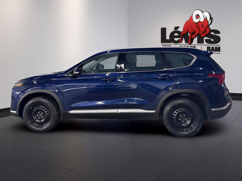 hyundai Santa Fe 2023 - 6