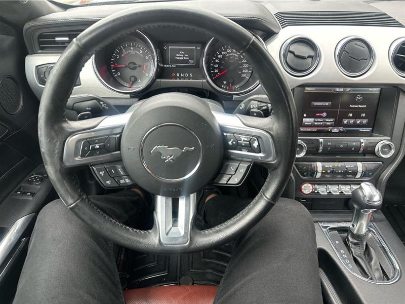 ford Mustang 2015 - 11