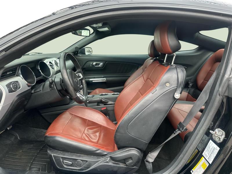 ford Mustang 2015 - 13