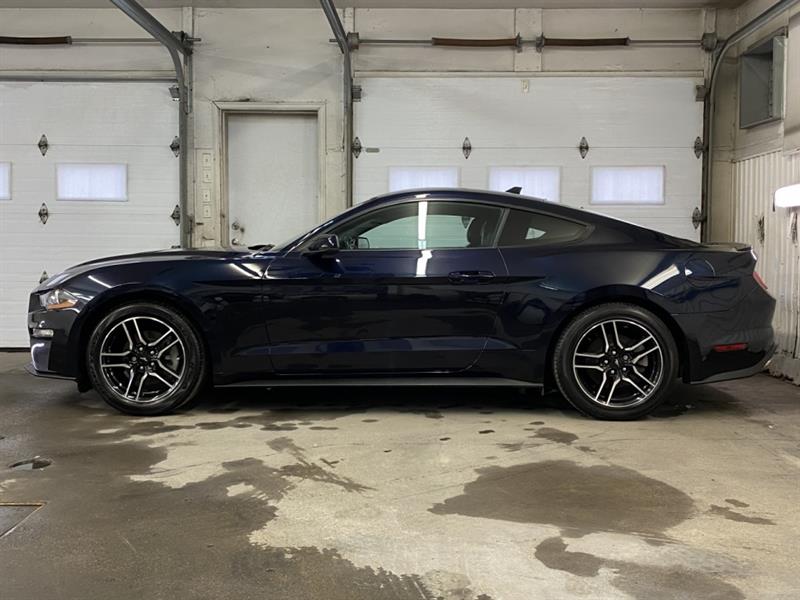 Ford Mustang 4
