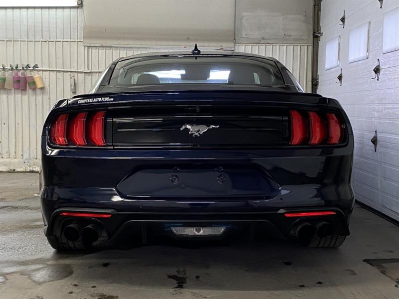 Ford Mustang 6