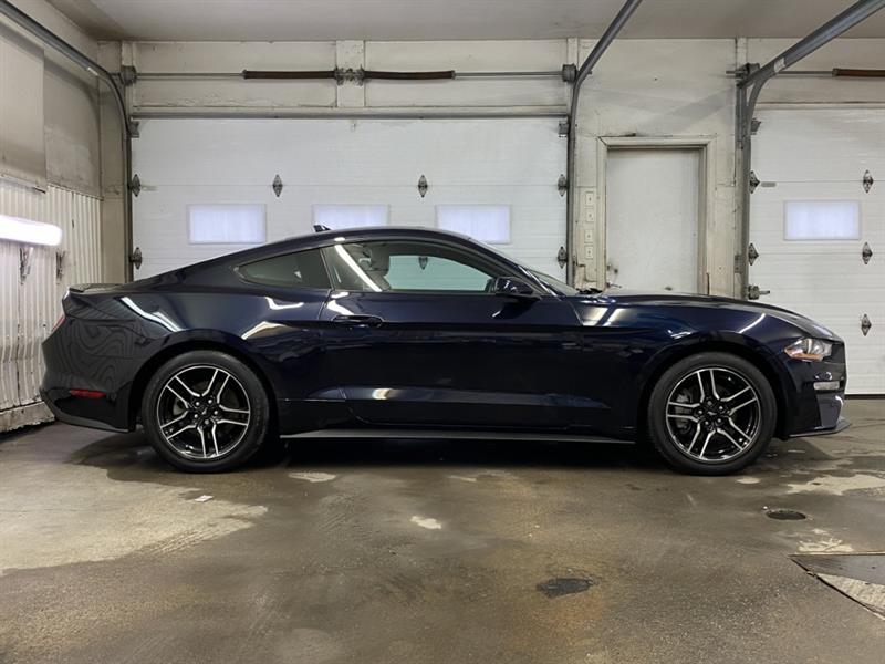 Ford Mustang 8