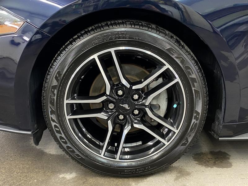 Ford Mustang 11