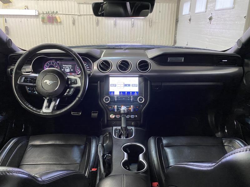 Ford Mustang 19