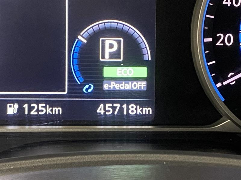 nissan LEAF 2021 - 22