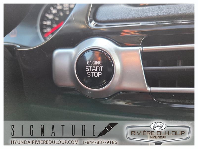 kia Seltos 2023 - 24