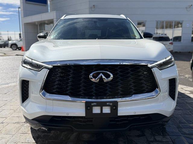 infiniti QX60 2023 - 2