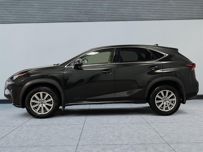 lexus NX300 2021 - 6