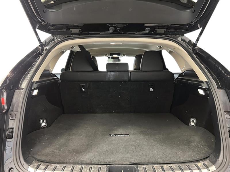 lexus NX300 2021 - 10