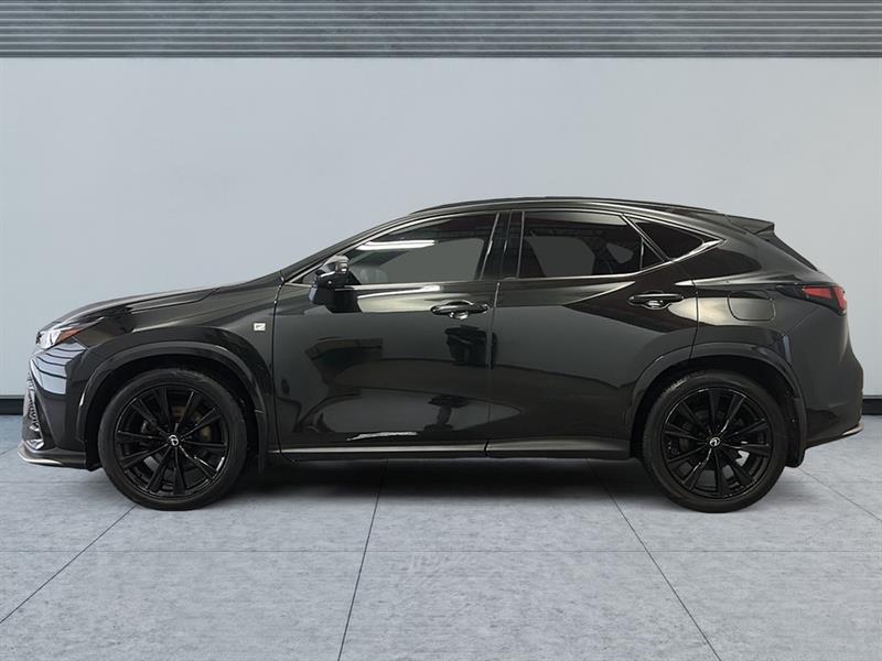 lexus NX 350 LUXURY/350 F SPORT 2024 - 5