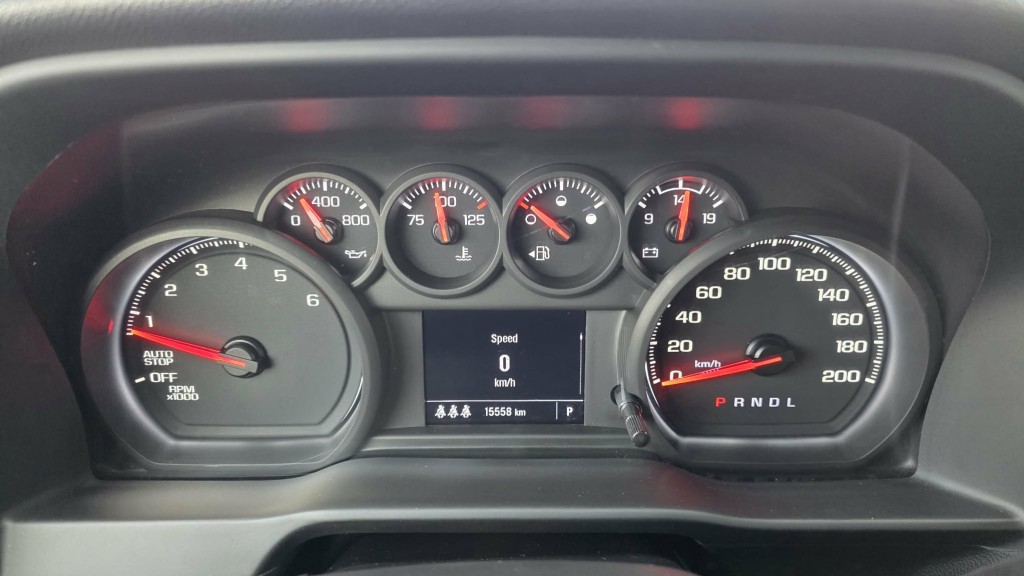 chevrolet Silverado 1500 2024 - 28