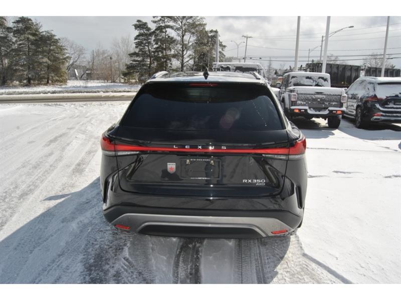 2023 Lexus RX - Image 4