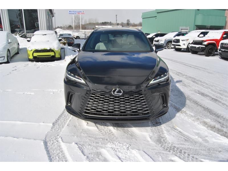 2023 Lexus RX - Image 8