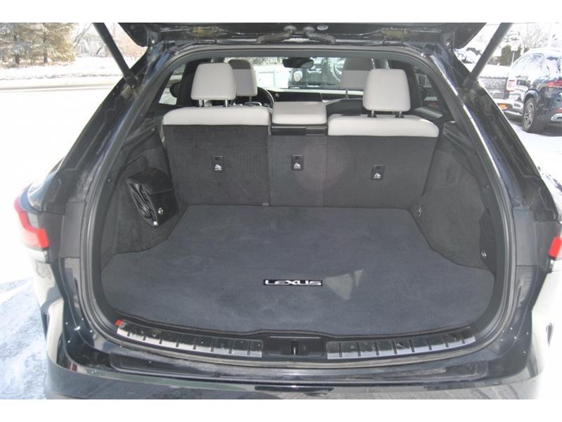 2023 Lexus RX - Image 11