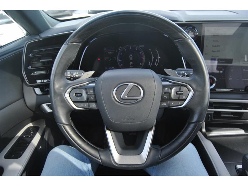 2023 Lexus RX - Image 14