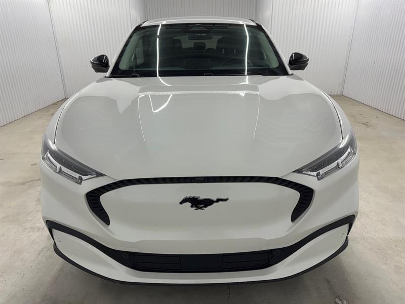 2023 Ford Mustang - Image 2