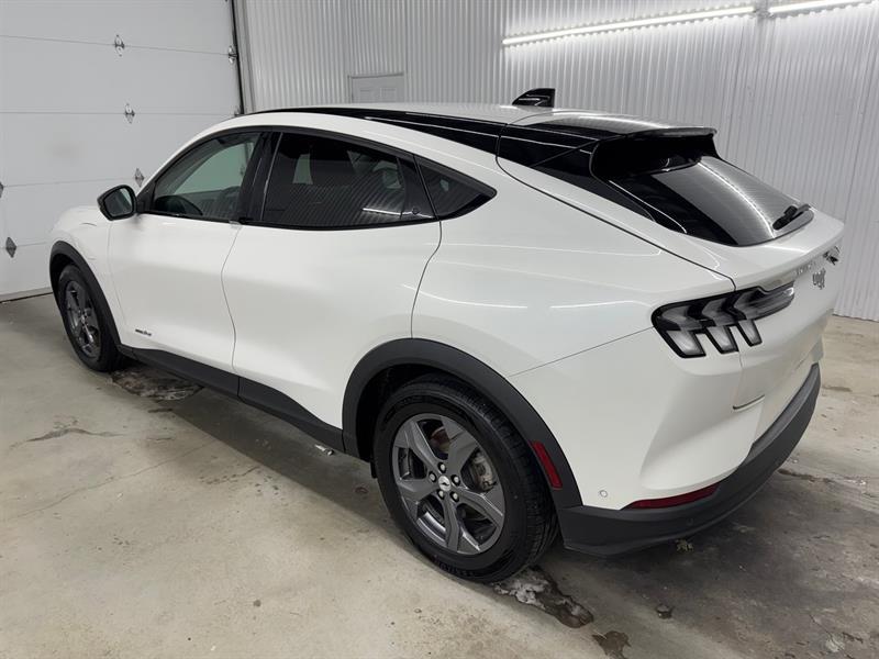 2023 Ford Mustang - Image 8