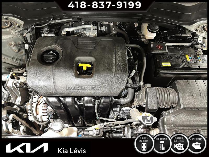 kia Seltos 2022 - 15