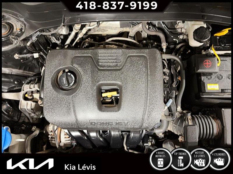 kia Seltos 2022 - 14