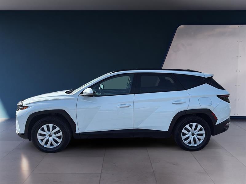 hyundai Tucson Hybrid 2024 - 6