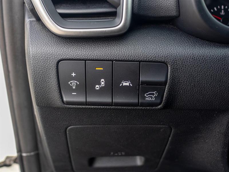 kia Sportage 2022 - 25