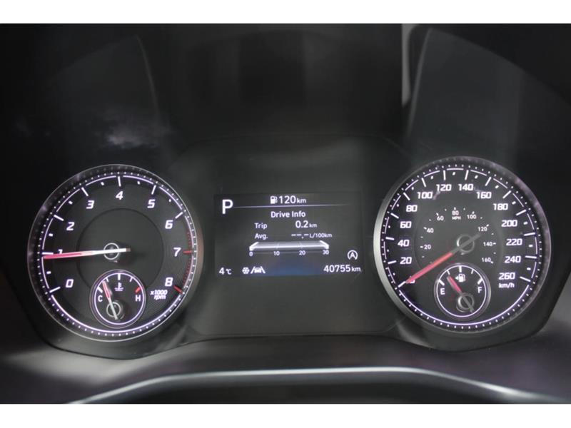 hyundai Santa Fe 2023 - 20