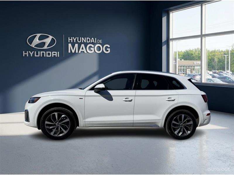 audi Q5 2021 - 2