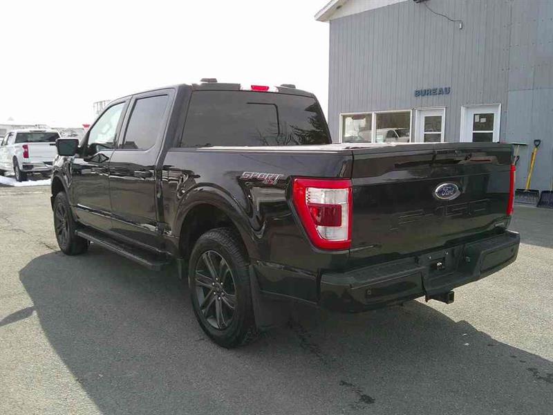ford F-150 2021 - 3