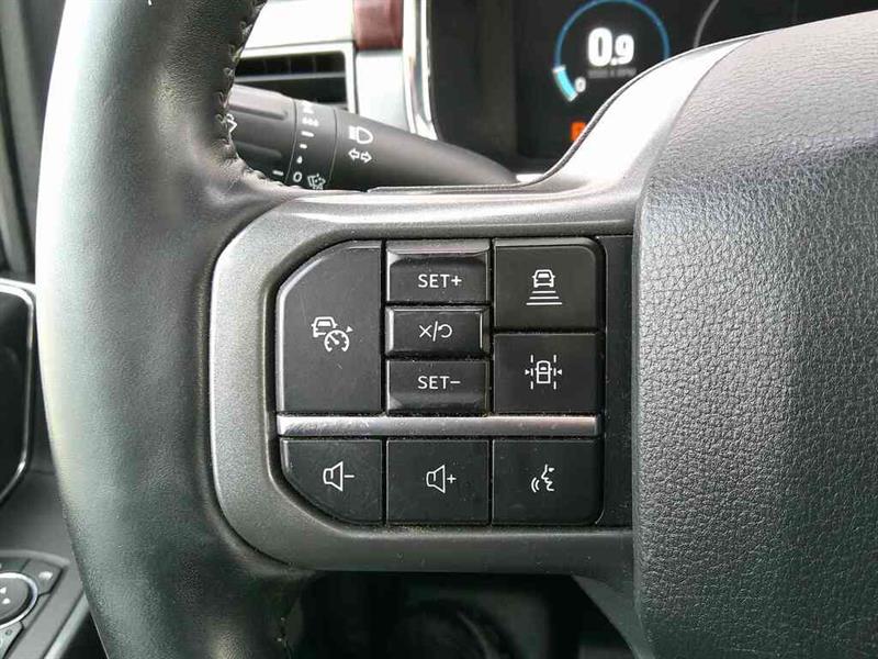 ford F-150 2021 - 14
