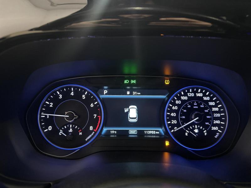 hyundai Palisade 2020 - 25