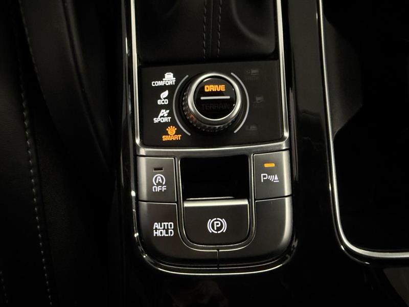 kia Telluride 2024 - 29
