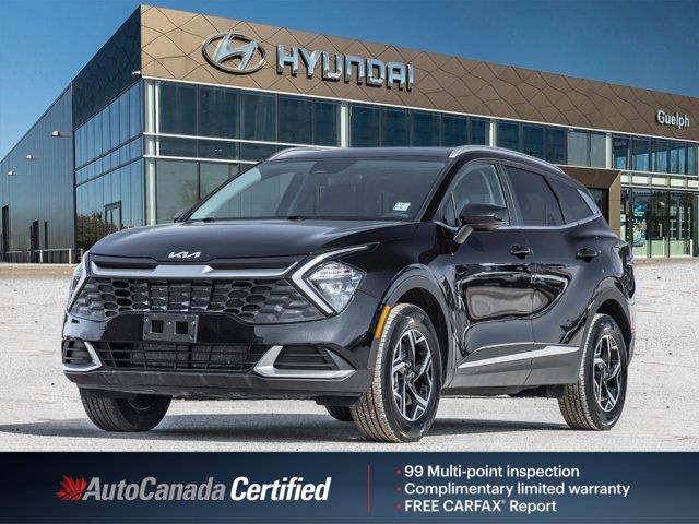 kia Sportage 2024