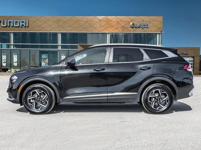 kia Sportage 2024 - 3