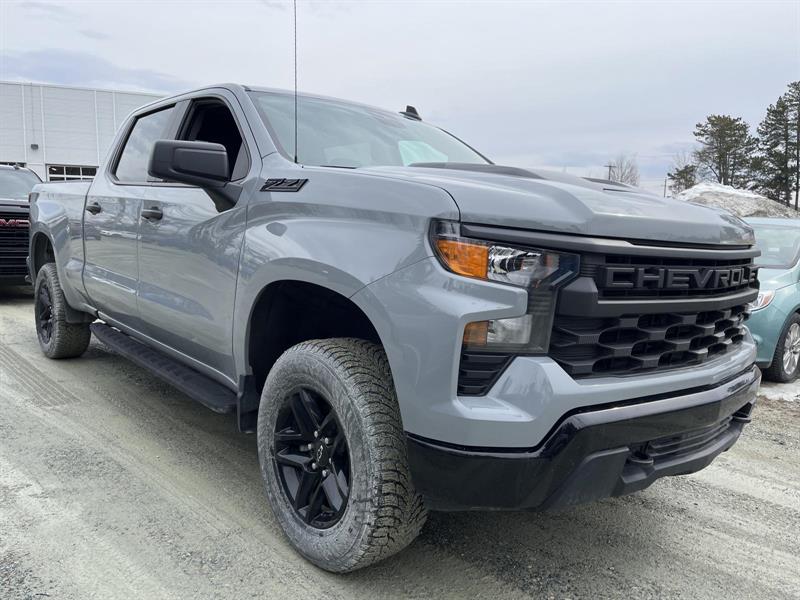 chevrolet Silverado 1500 2024 - 6