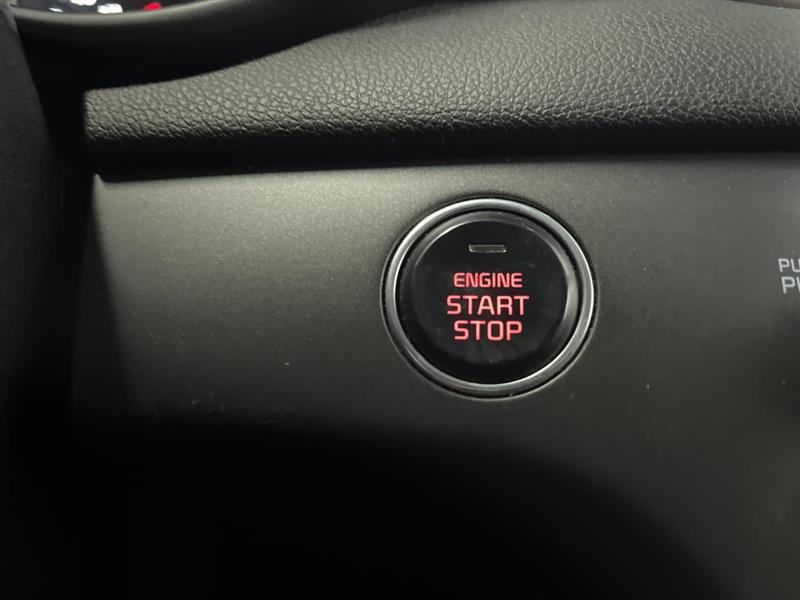 kia Sportage 2022 - 14