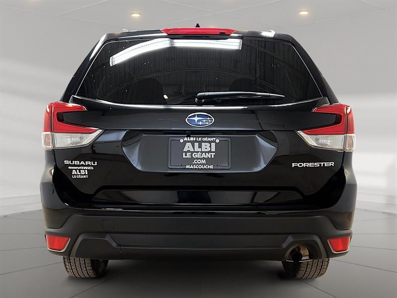 subaru Forester 2024 - 5