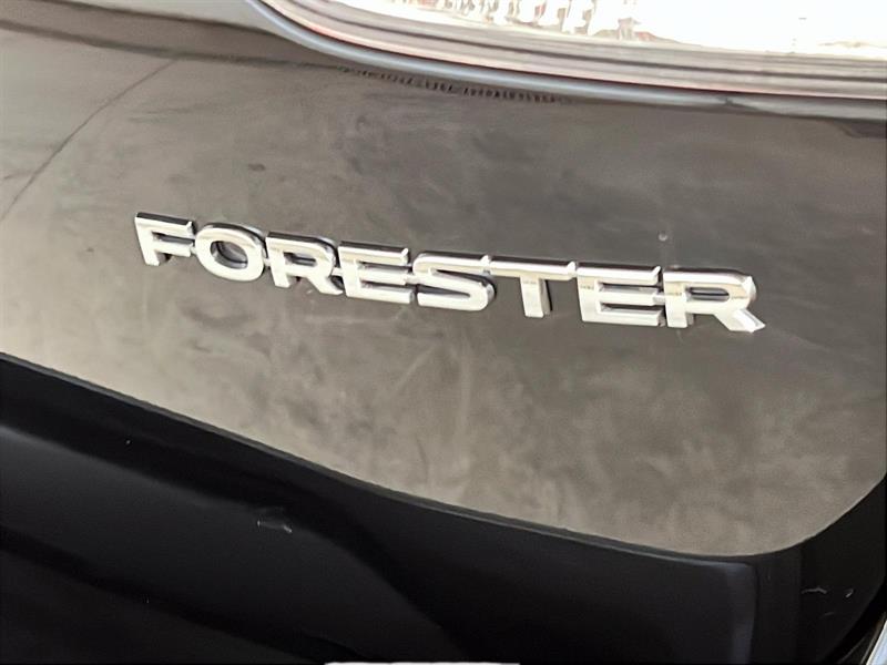 subaru Forester 2024 - 23