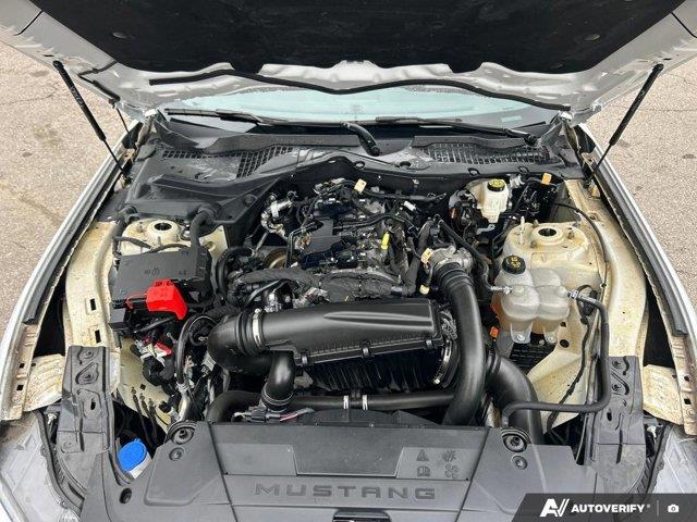 ford Mustang 2024 - 13