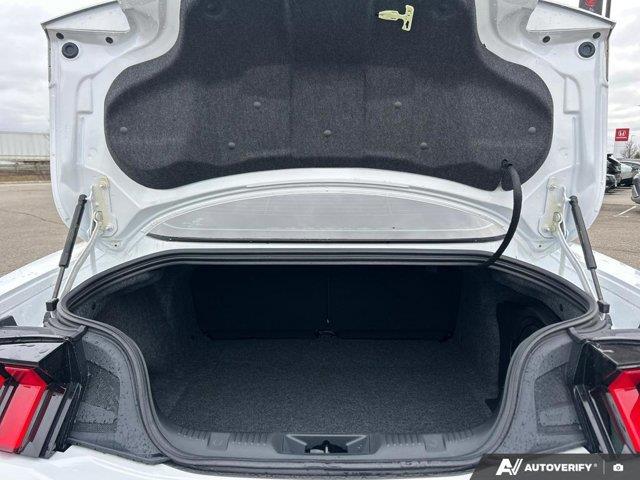 ford Mustang 2024 - 15