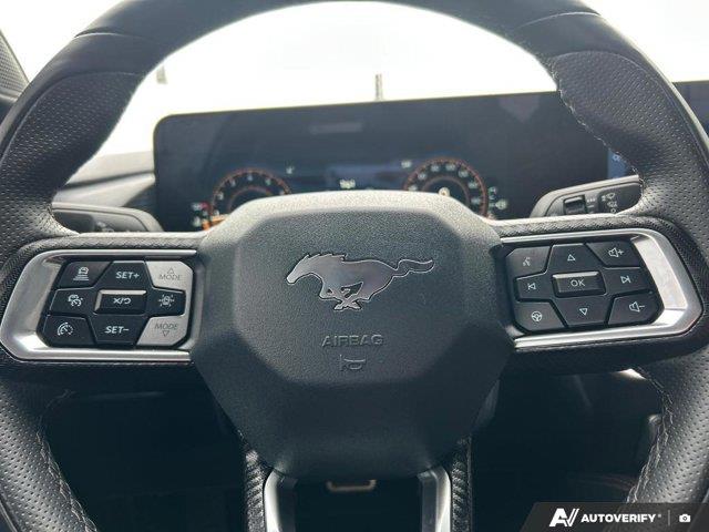 ford Mustang 2024 - 19
