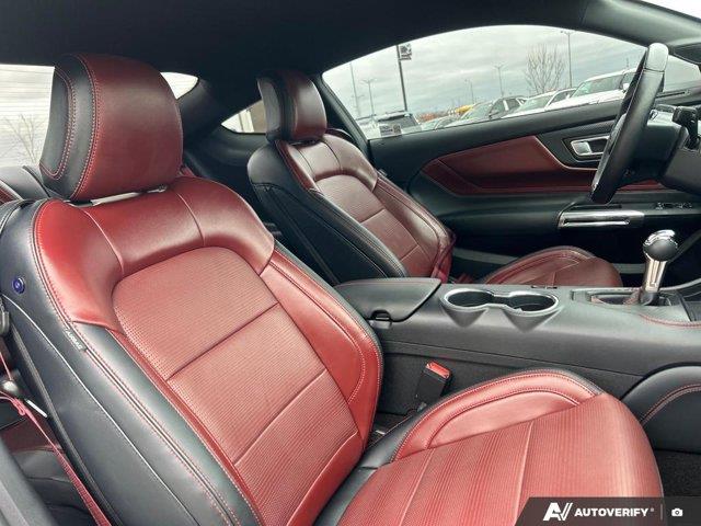 ford Mustang 2024 - 25