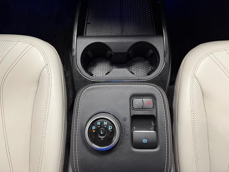 ford Mustang Mach-E 2021 - 19