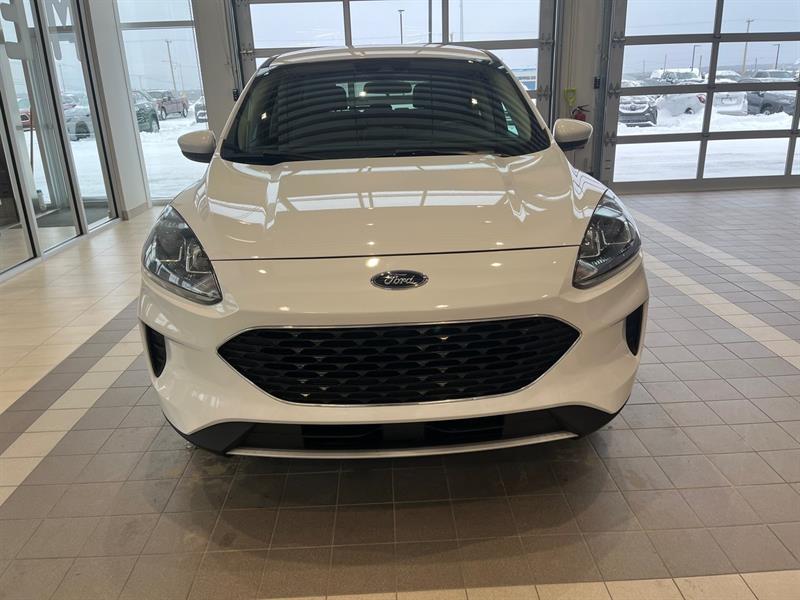 ford Escape 2020 - 2
