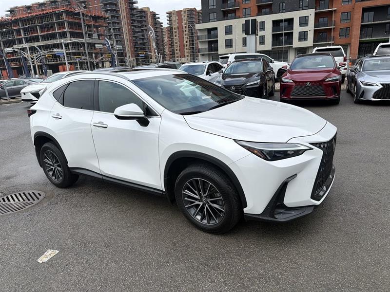 lexus NX 2024 - 2