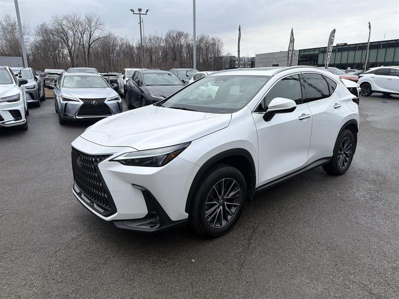 lexus NX 2024 - 4