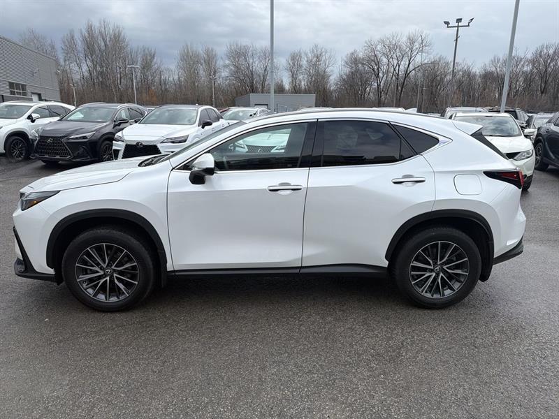 lexus NX 2024 - 5