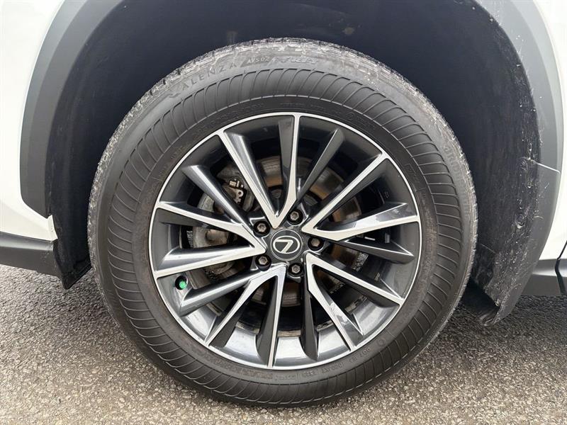 lexus NX 2024 - 10