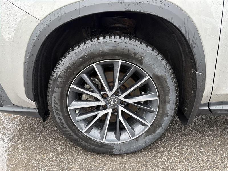 lexus NX 2023 - 18
