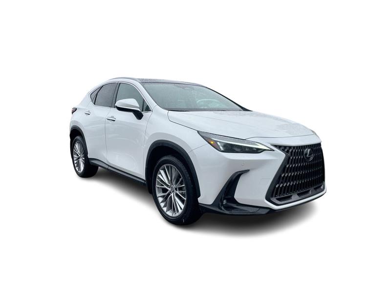 lexus NX 2024 - 2