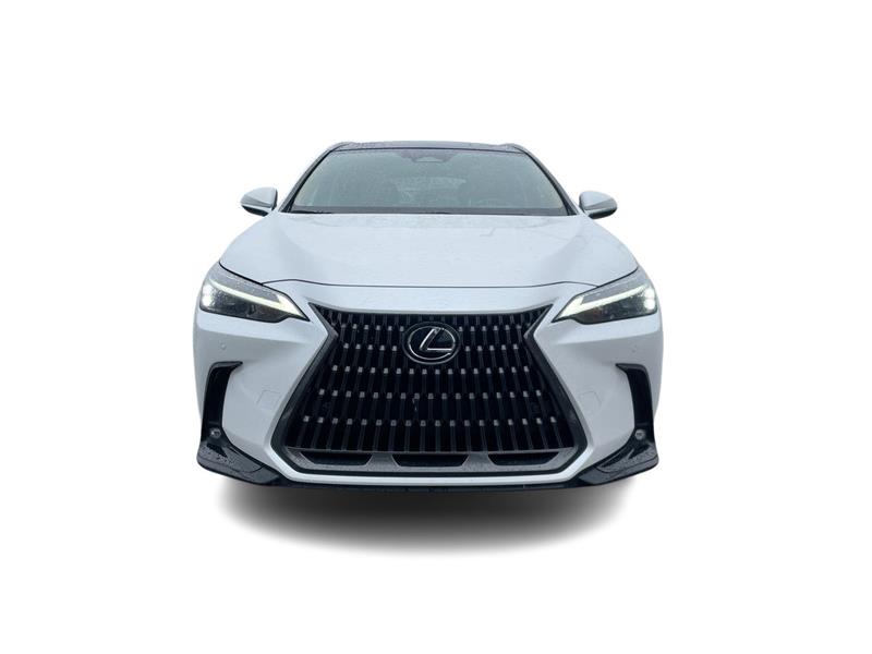 lexus NX 2024 - 4